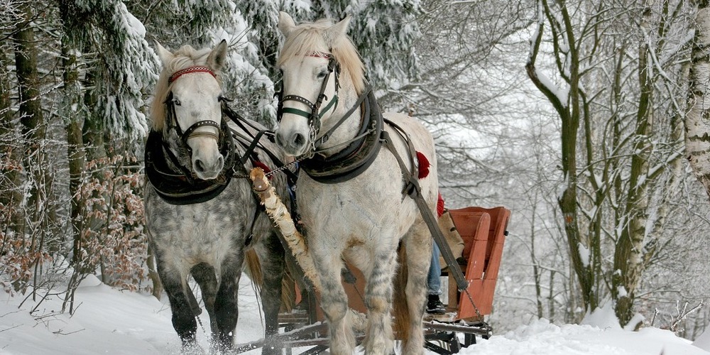 Sleigh Ride in Meribel
